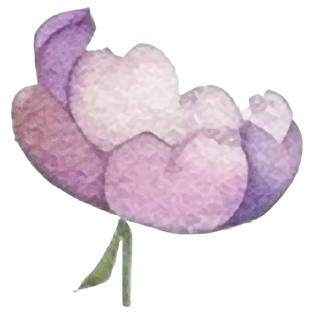 Vector Flor pintada de acuarela Elementos de diseño de flores dibujados a mano aislados sobre fondo blanco