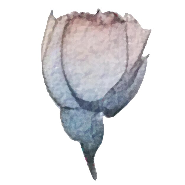 Vector Flor pintada de acuarela Elementos de diseño de flores dibujados a mano aislados sobre fondo blanco