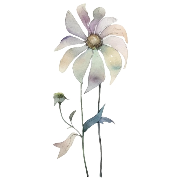 Vector Flor pintada de acuarela Elementos de diseño de flores dibujados a mano aislados sobre fondo blanco