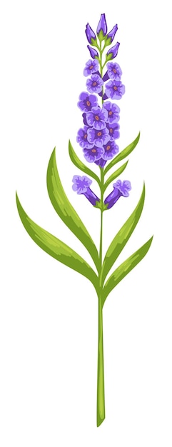 vector de flor de primavera de flor floreciente púrpura