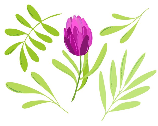 Vector de flor de primavera o verano tulipán plano rosa