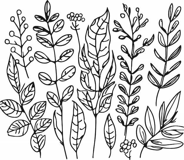 Vector de flora forestal con una hermosa línea dibujada a mano