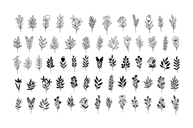 Vector floral flores silvestres hierba rama ramita conjunto ilustración