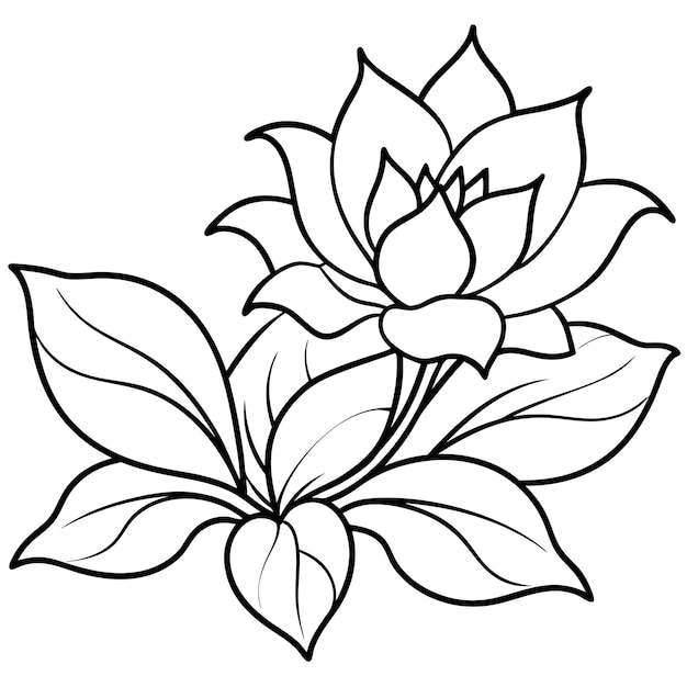 vector floral incoloro dibujado a mano en blanco y negro