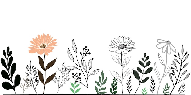 Vector Floral marco dibujado a mano doodle flores y hojas marco para su texto