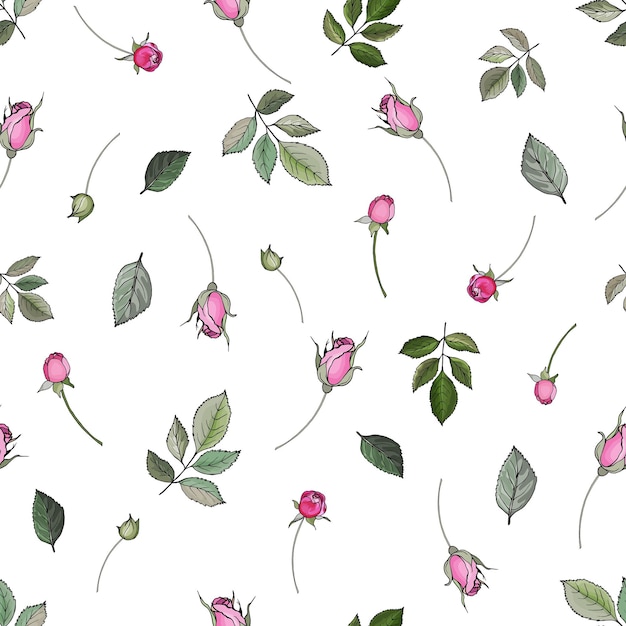 Vector floral de patrones sin fisuras con capullos de flores rosas rosas y hojas verdes