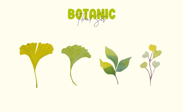 Vector de flores de acuarela Conjunto de elementos hechos a mano