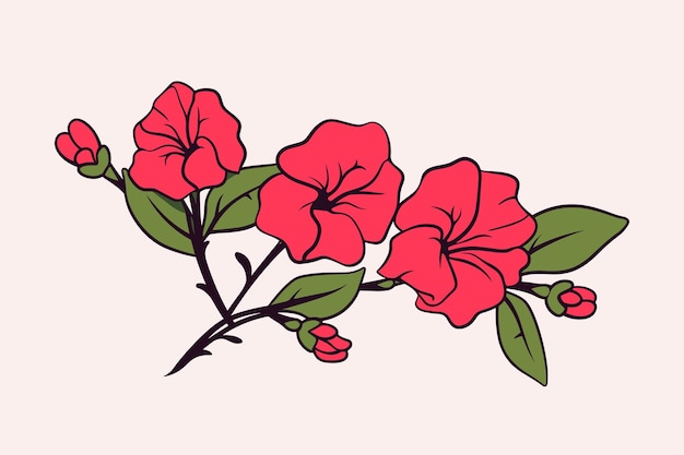 Vector vector de las flores de bougainvillea