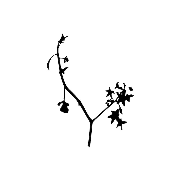 Vector de flores de color rojo