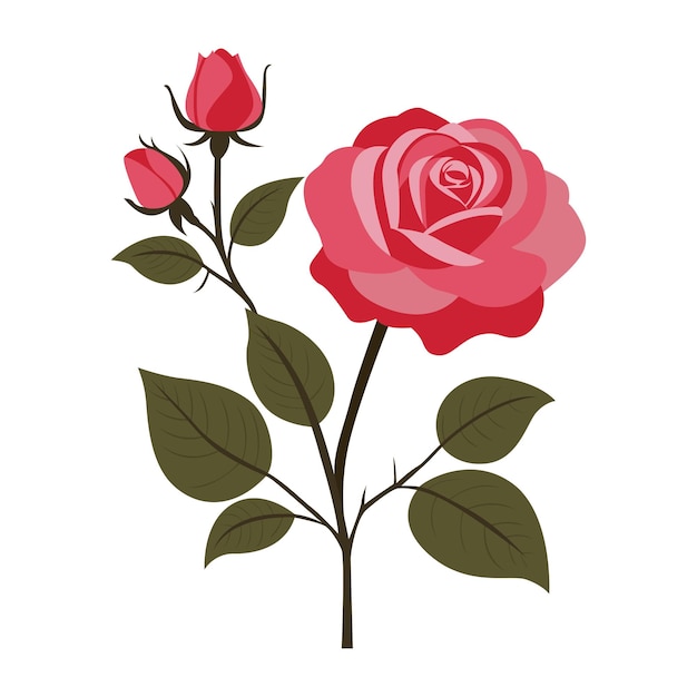vector de flores color de rosa