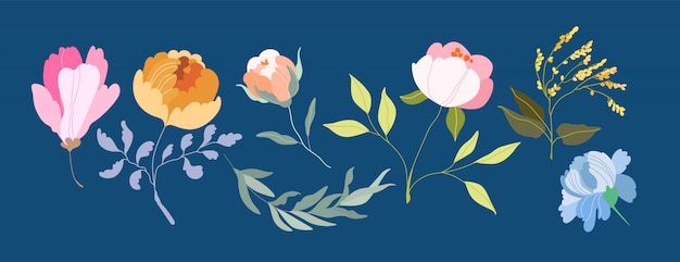 Vector de flores. elegantes ramas femeninas y cabezas de flores.