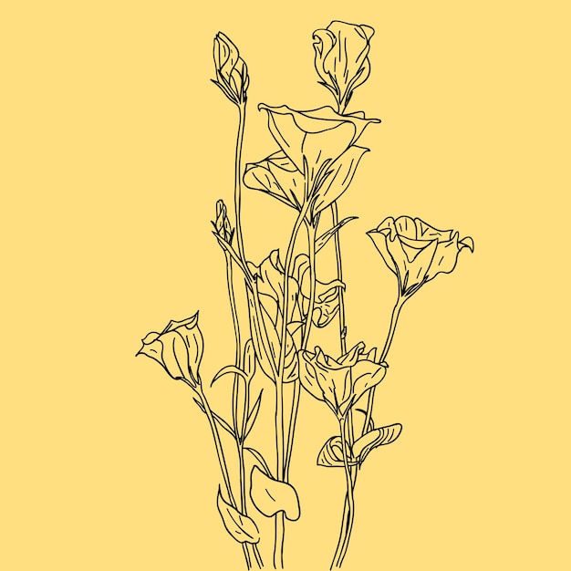 Vector de flores de fondo