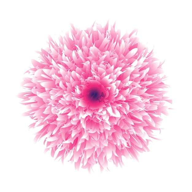 Vector de flores hermosas