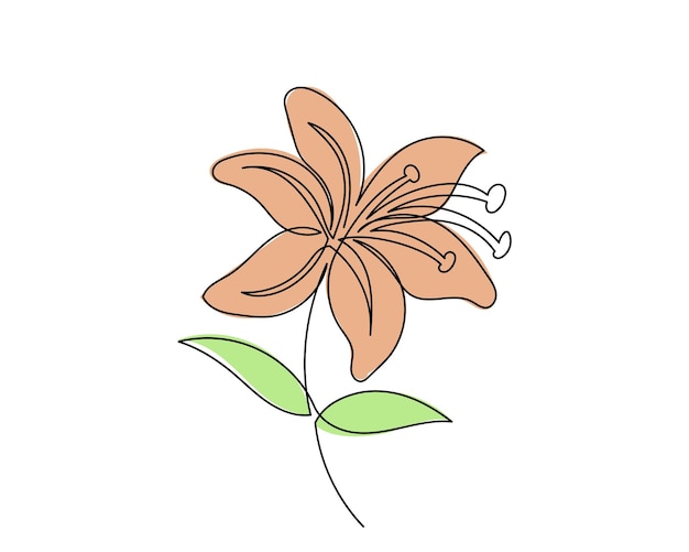 Vector de flores de lirio dibujo de una línea de una flor de lirio arte de líneas de lirio aislada en blanco