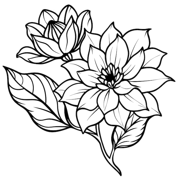 vector de flores planas dibujado a mano para uso polivalente