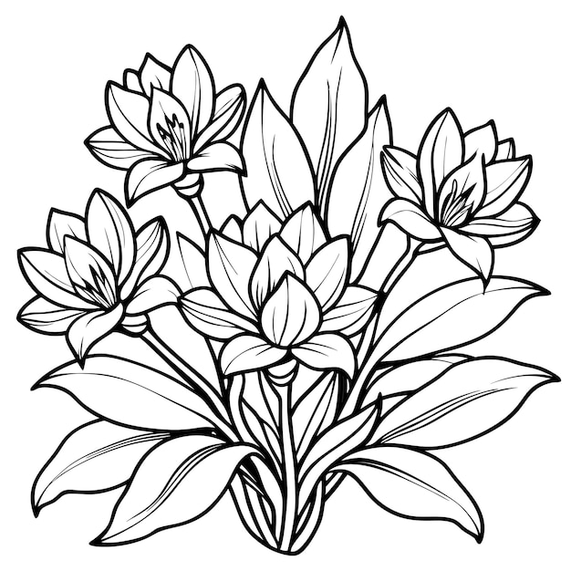 vector de flores planas dibujado a mano para uso polivalente