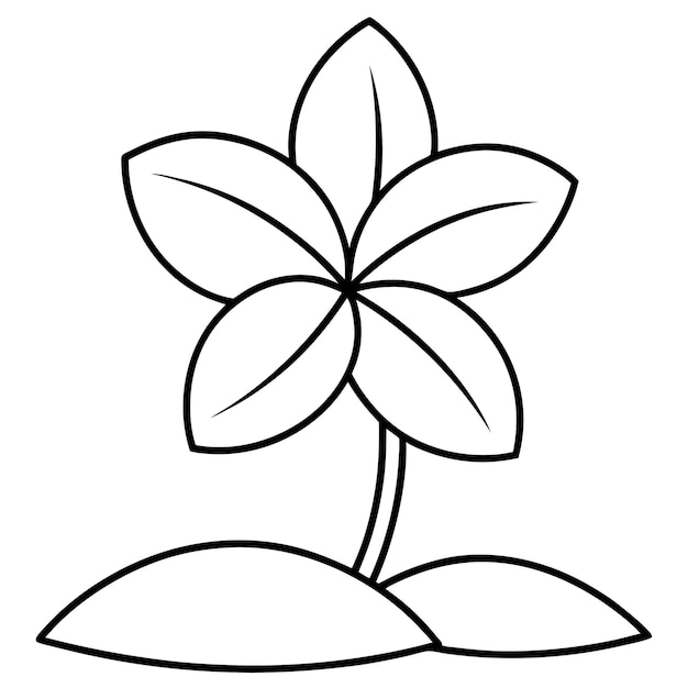 Vector de flores de Plumeria de arte de línea plana