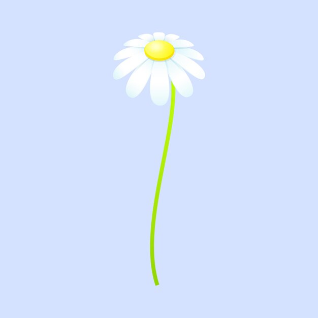 Vector flores de primavera en el fondo blanco