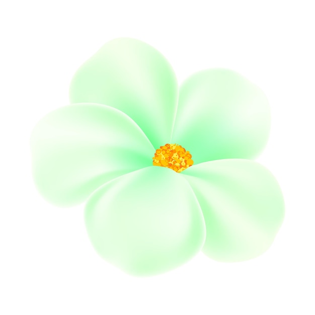 Vector flores de primavera en el fondo blanco