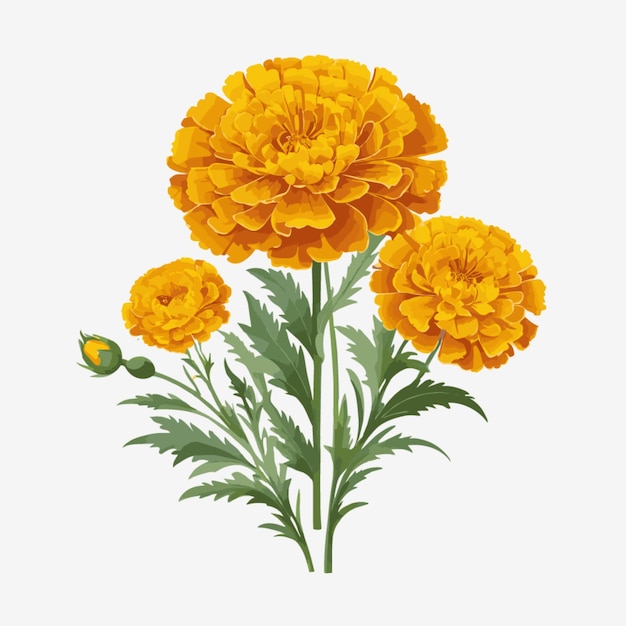 Vector de flores sobre un fondo blanco