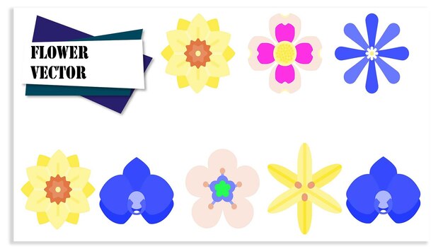 Vector de las flores