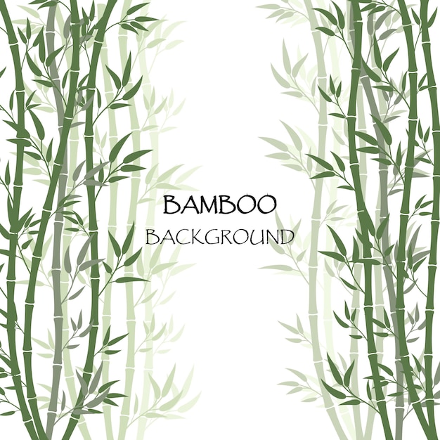 Vector de fondo de bambú