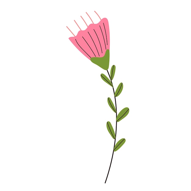 Vector de fondo blanco de flor rosada