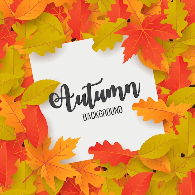 Vector de fondo de otoño