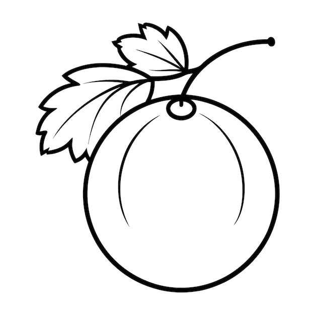 Vector de la fruta de la grosella negra