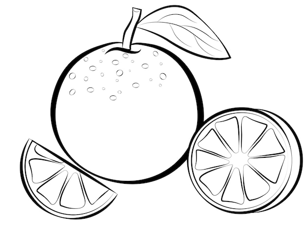 Vector de fruta naranja Comida de verano grabada, entera y media naranja,