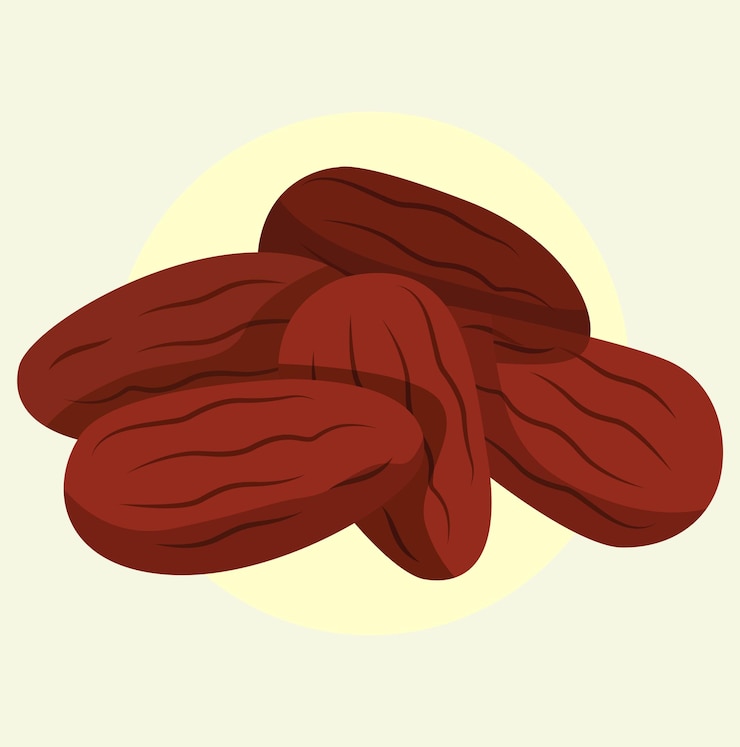 Vector vector de la fruta de la palma o del buah kurma
