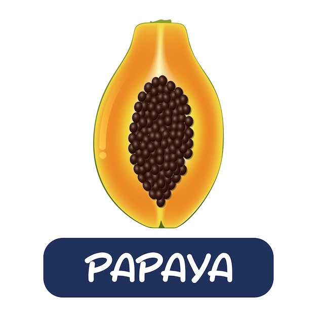 Vector de fruta de papaya de dibujos animados aislado sobre fondo blanco