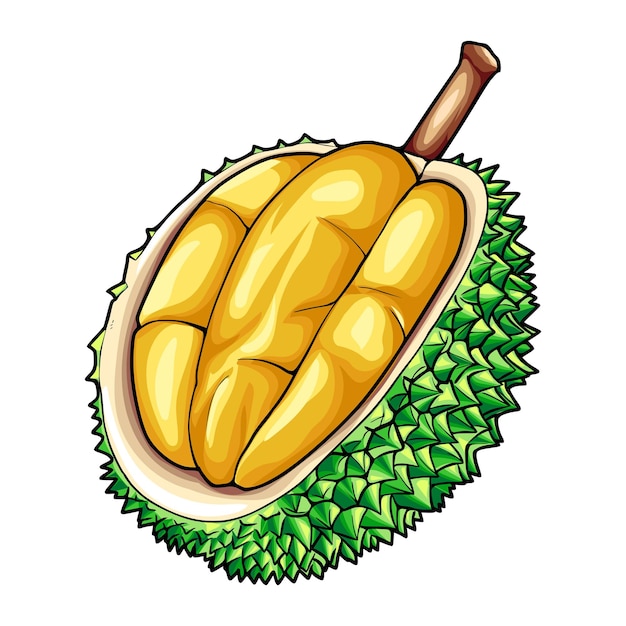 VECTOR DE FRUTA DEL REY