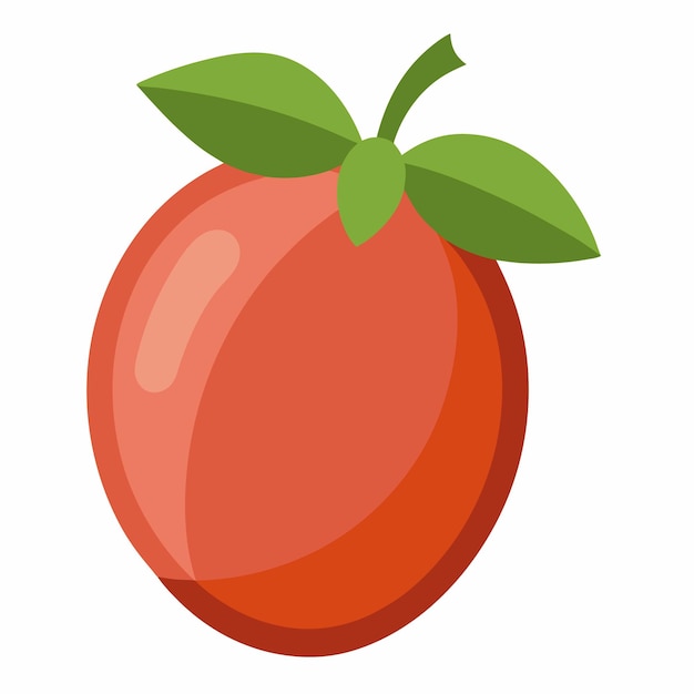 Vector de frutas de bayas milagrosas y ilustración de diseño digital al estilo de dibujos animados