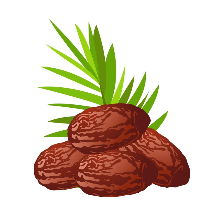 Vector vector de frutas de dátiles