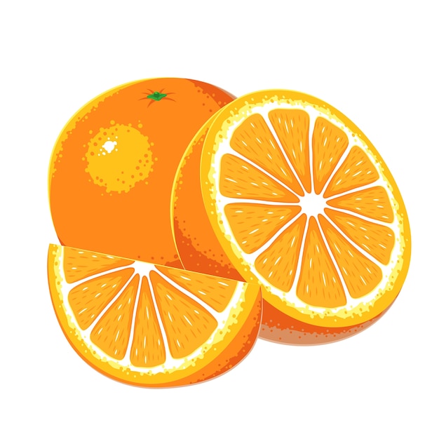 Vector de frutas naranjas