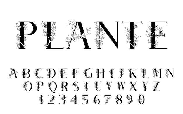 Vector de fuente de visualización de Plante isométrico limpio moderno