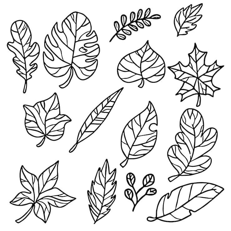Vector vector de garabato de hojas