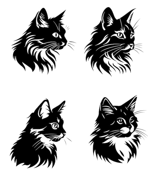 Vector de gato 5ai