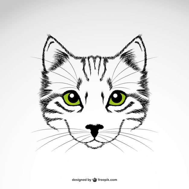 Vector gato con ojos verdes