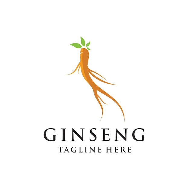 Vector de ginseng logotipo de planta a base de hierbas vector de medicina a base de hierbas naturales ginseng icono de bebida a base de hierbas