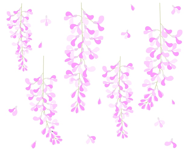 Vector vector glicinia flor violeta flor blanca y rosa