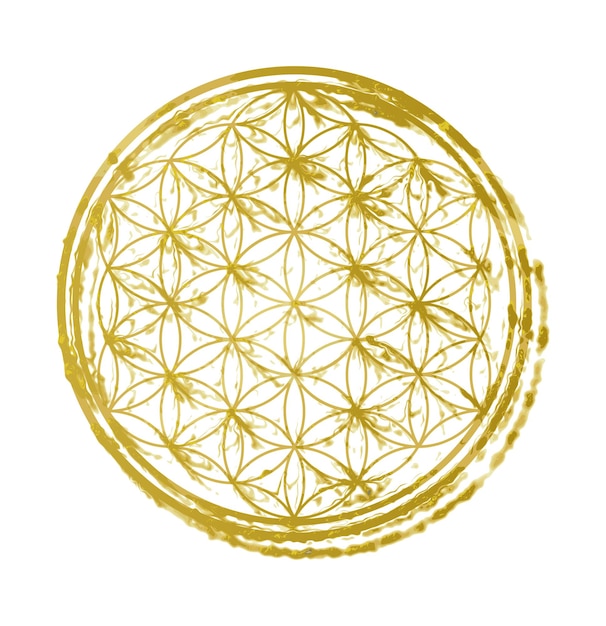 Vector vector golden gold flower of life circle symbol sign.meditation.mandala.t shirt print design. estampilla.