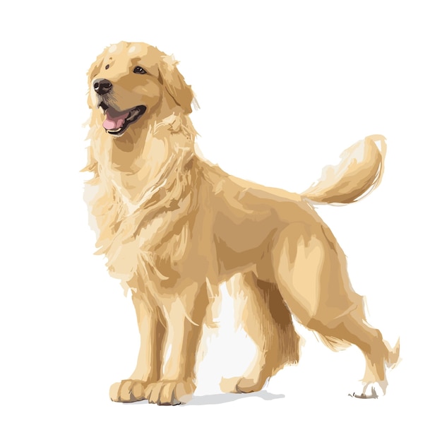 Vector golden retriever perro animal clippart fondo blanco editable