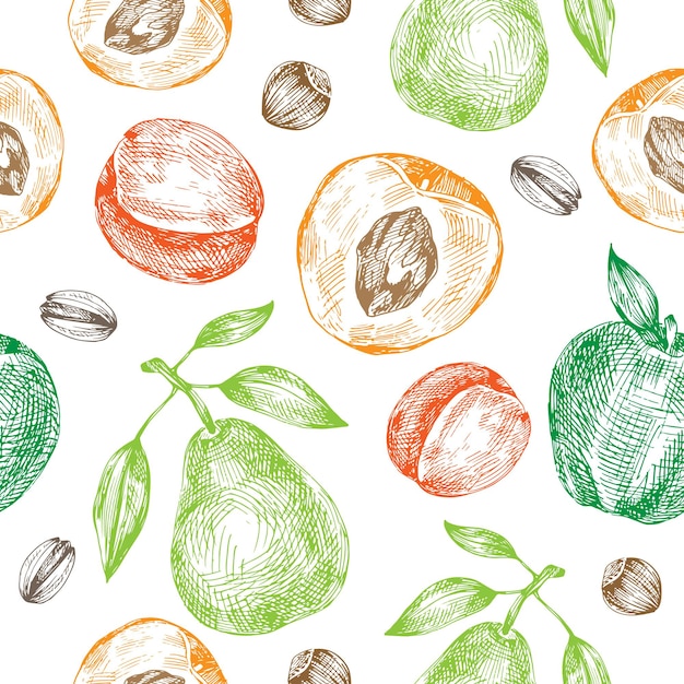 Vector vector gráfico fruta patrón albaricoque pera manzana tuercas bosquejo fondo