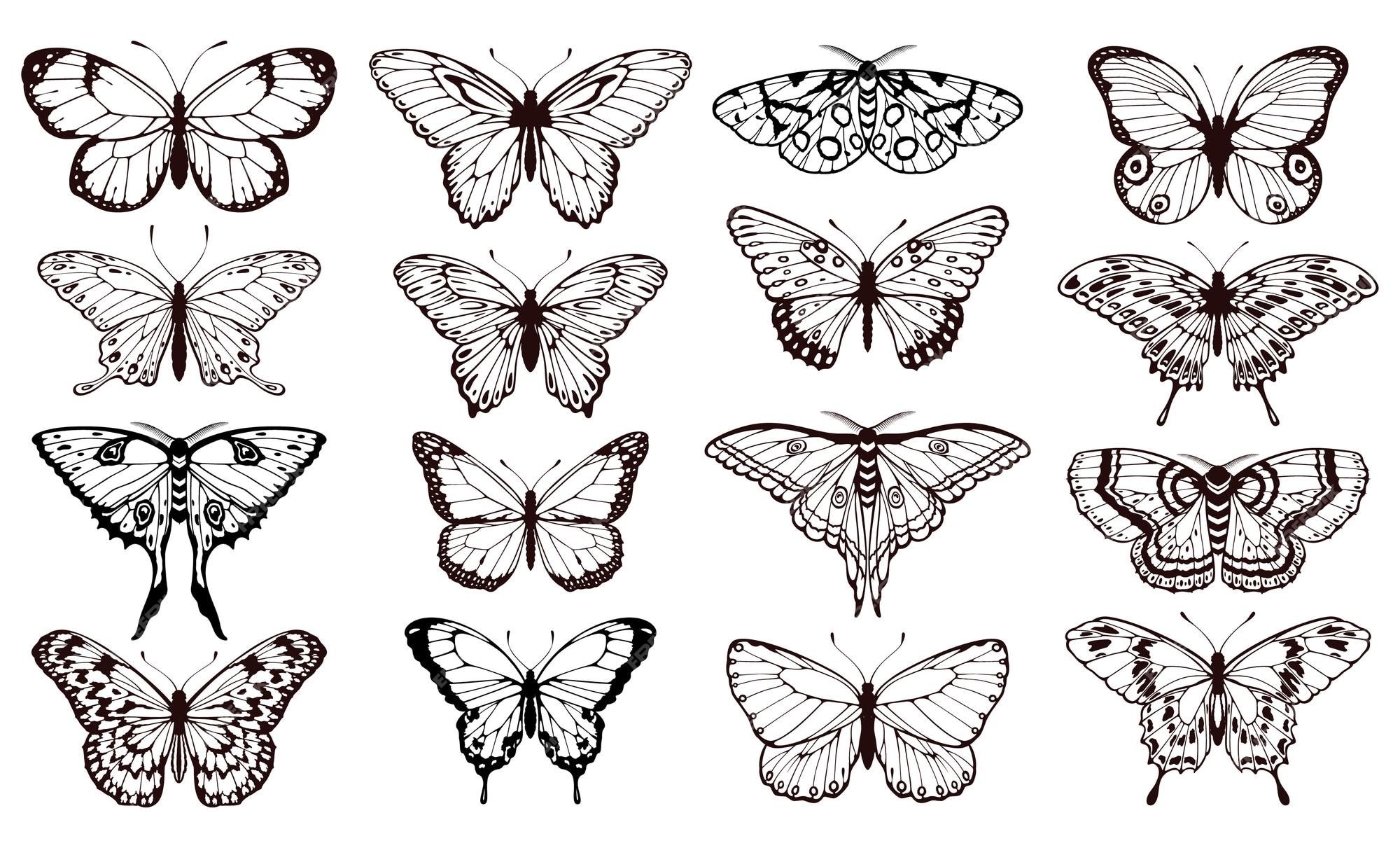 Descubrir desayuno Muchos Vector gráfico de tatuaje de mariposas de contorno negro de siluetas de  mariposas para diseño de tarjetas de boda | Vector Premium