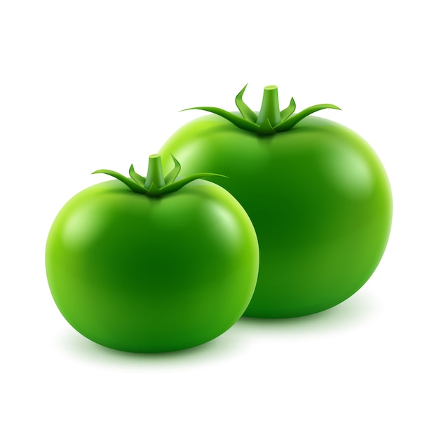 Vector grandes tomates enteros frescos verdes maduros en blanco