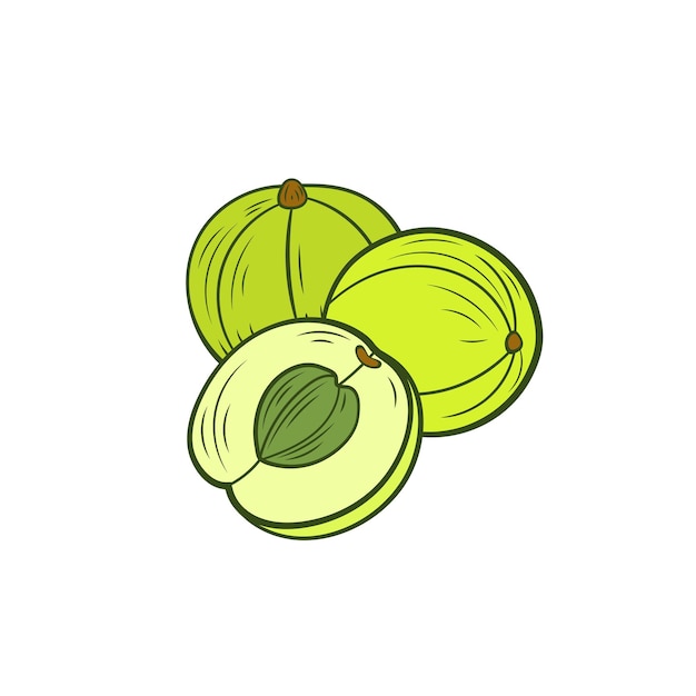 Vector grosellas amla ilustración bayas con hojas aisladas sobre fondo blanco