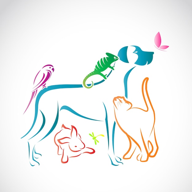 Vector grupo de animales domésticos - perro, gato, loro, camaleón, conejo, mariposa, libélula aislado sobre fondo blanco.
