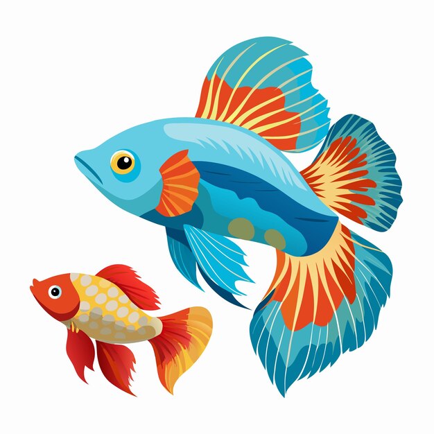 Vector Guppy contra betta aislado en fondo blanco Ilustración vectorial